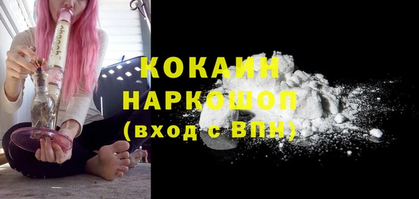 винт Бородино