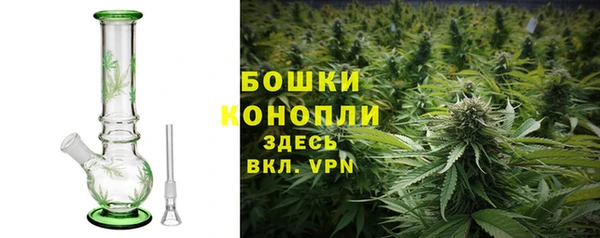 гашик Бронницы