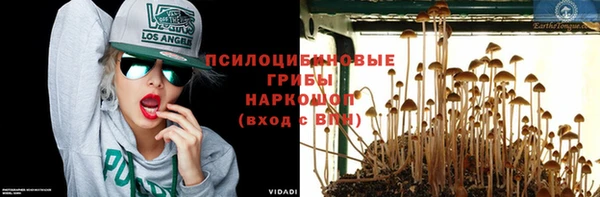 гашик Бугульма