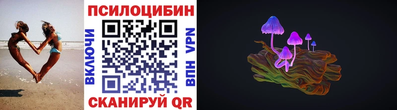 купить наркотики сайты  Каменка  Псилоцибиновые грибы GOLDEN TEACHER 