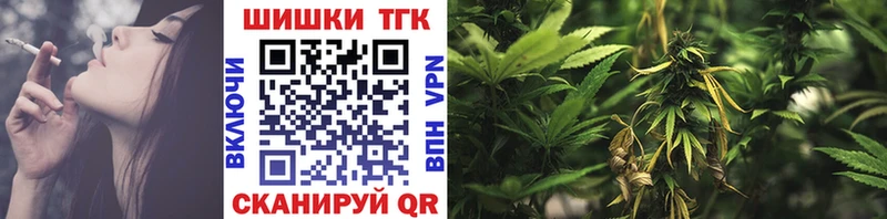 Бошки марихуана конопля  mega маркетплейс  Каменка 